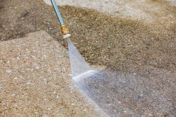 Best Sidewalk and Walkway Cleaning  in Wadley, GA